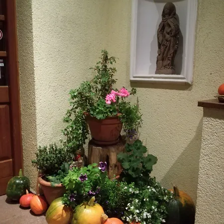 Отель Restaurant Denis 3*