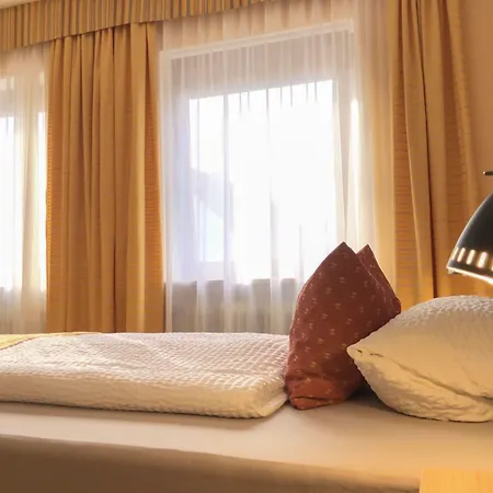 Отель Restaurant Denis 3*