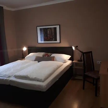 Отель Restaurant Denis 3*