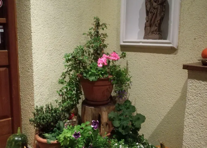 Hotel Restaurant Denis 3*