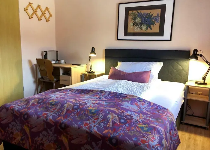 Hotel Restaurant Denis 3*